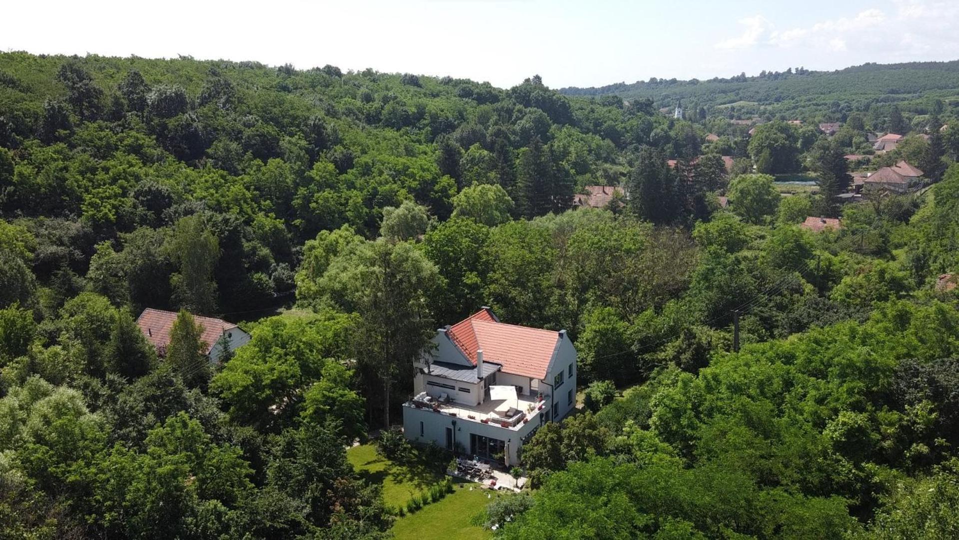 Villa Viridis Buekkalja Borsodgeszt Exterior foto